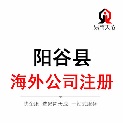 陽谷海外公司 境外公司注冊代辦理